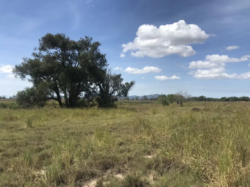 Freehold land 5 minutes from Gracemere
