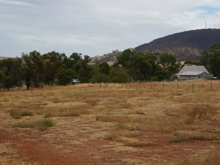 Great Buying Half Acre Home Site!!