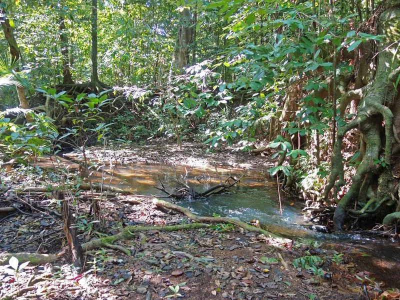 28.84 Ha Lifestyle Block (Over 70 Acres)