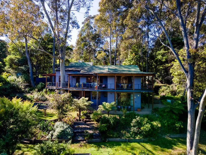 Beautiful 'Bellbird' in Bermagui