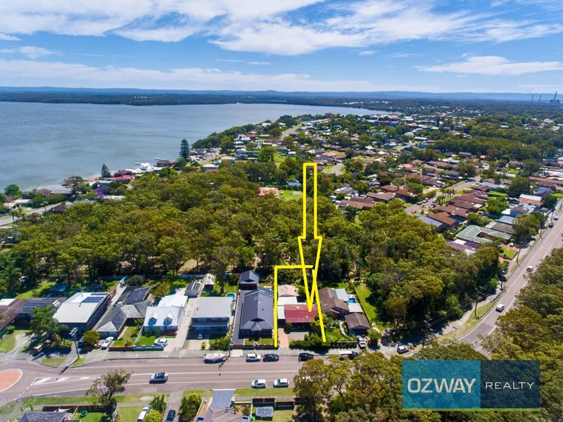 Great Start into the market, Investors, Unique Character 