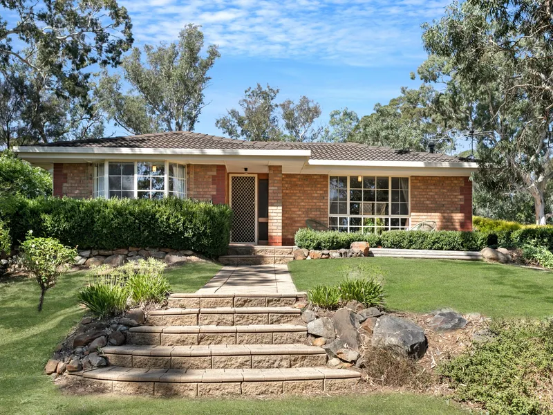 A Lucky Opportunity!