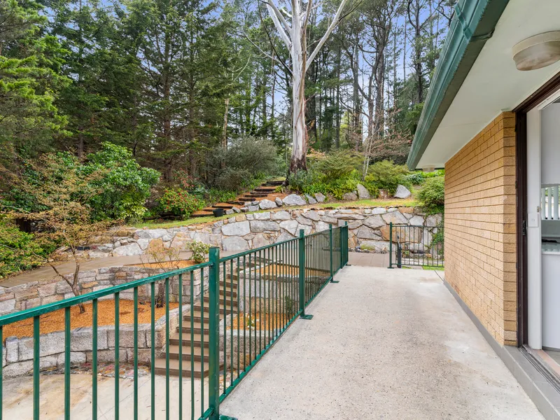 Home Amongst The Pine Trees.