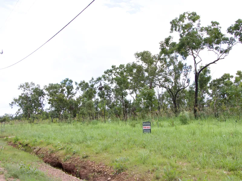 20 Acres Blank Canvas