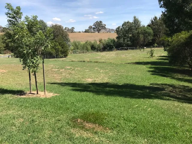 ADELONG CREEK FRONTAGE