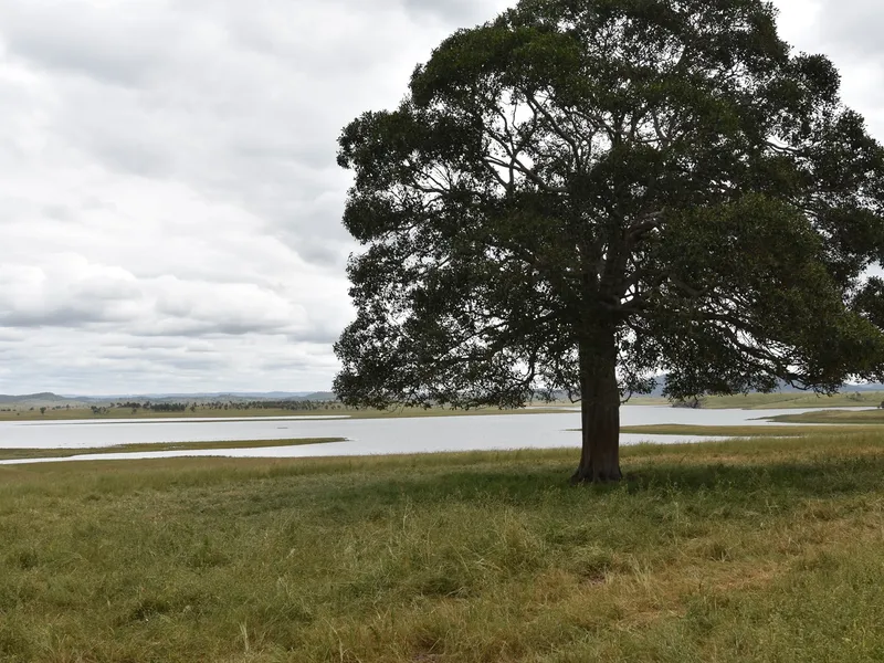 'BROWN'S' - An Outstanding Blank Canvas Fronting Wivenhoe Dam.