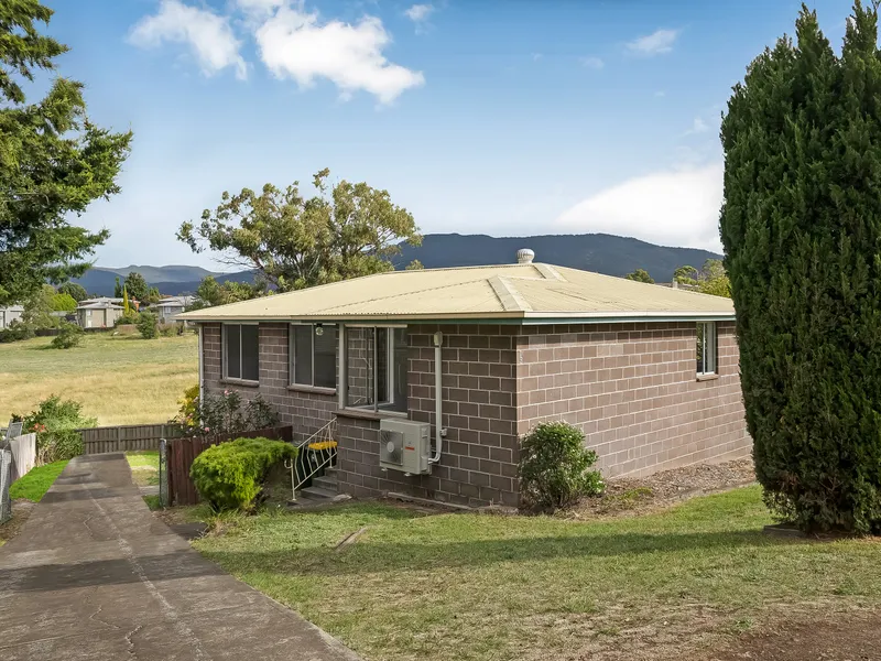 Recently Renovated Family Home