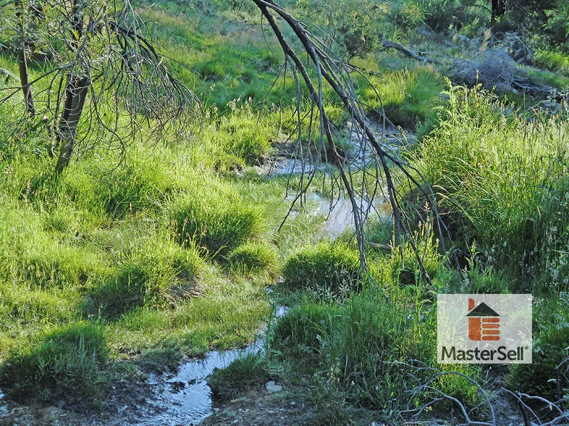 LAND - 505 ACRES - Bush Block - With Subdivision Potential! 