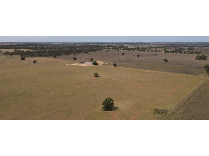 Outstanding mixed farm