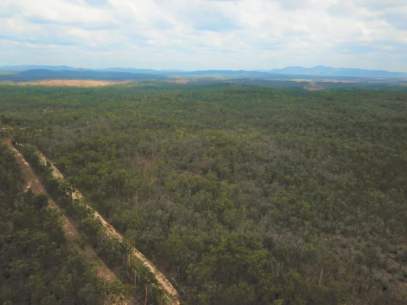 Check This Out 316 Acres 