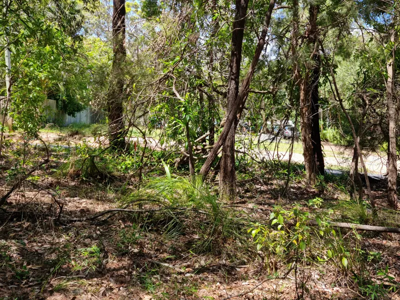 Cheap! Cheap! Cheap Land at Lamb Island