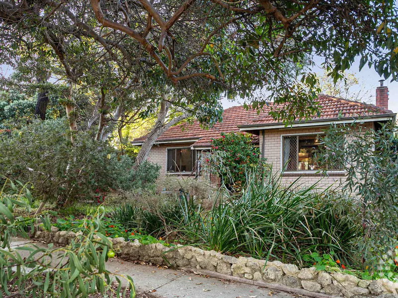 Ready to Renovate or Develop