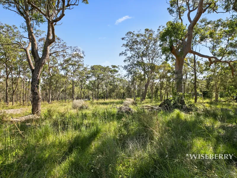 Vacant Acres