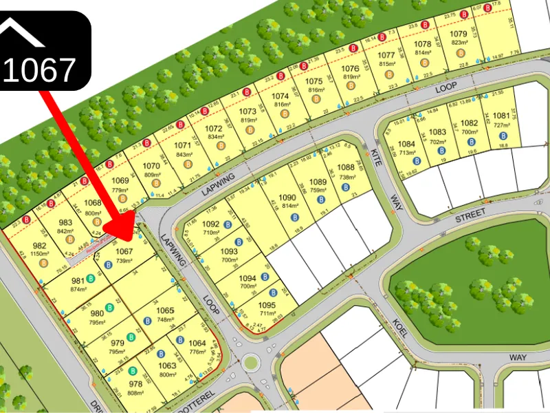 NEW BLOCKS - Available Now!