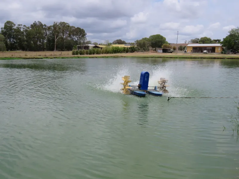 Lifestyle & Aquaculture