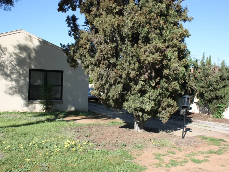 Wow!! 4 bedrooms in Banff Street