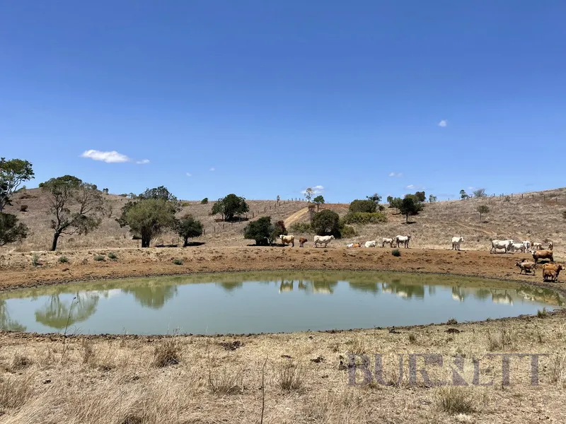 Scrub Grazing Block