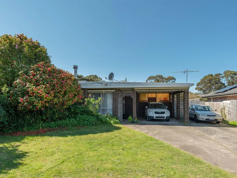 Start Your New Journey Here!