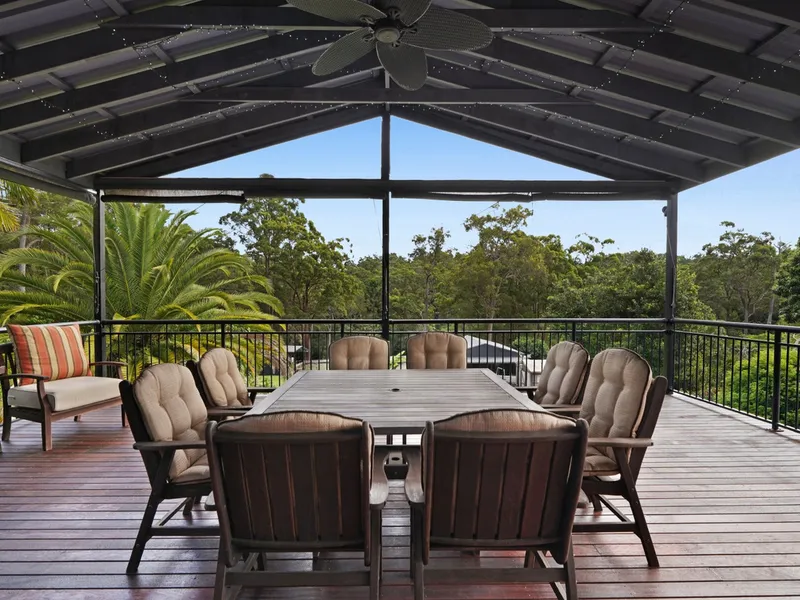 Tranquillity Amongst the Treetops