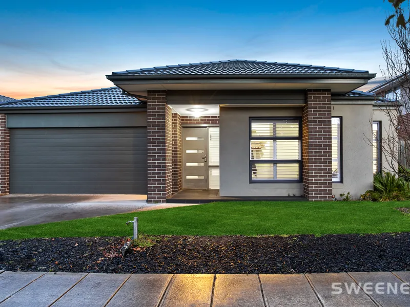 Family Entertainment Dream with Exquisite Design!