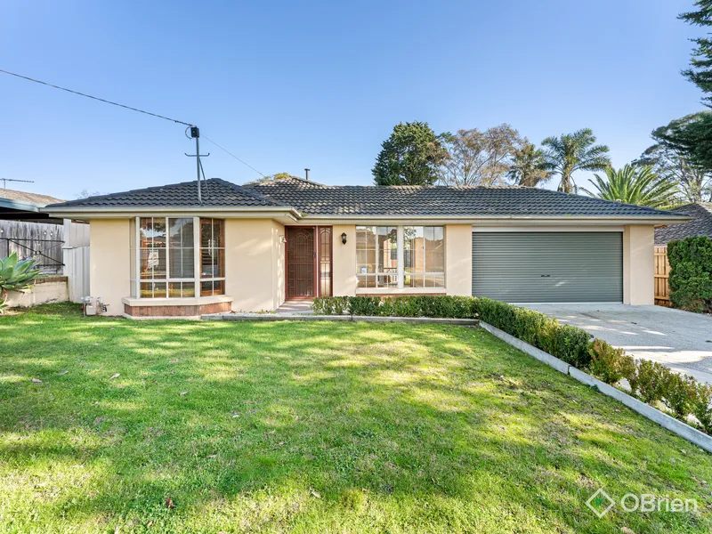 The Perfect Family Home!