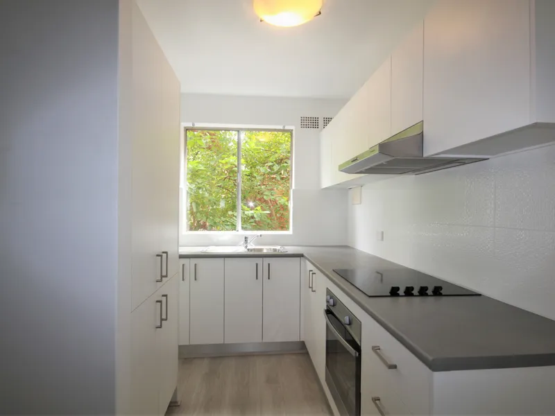 Renovated 2 Bedroom Apartment 