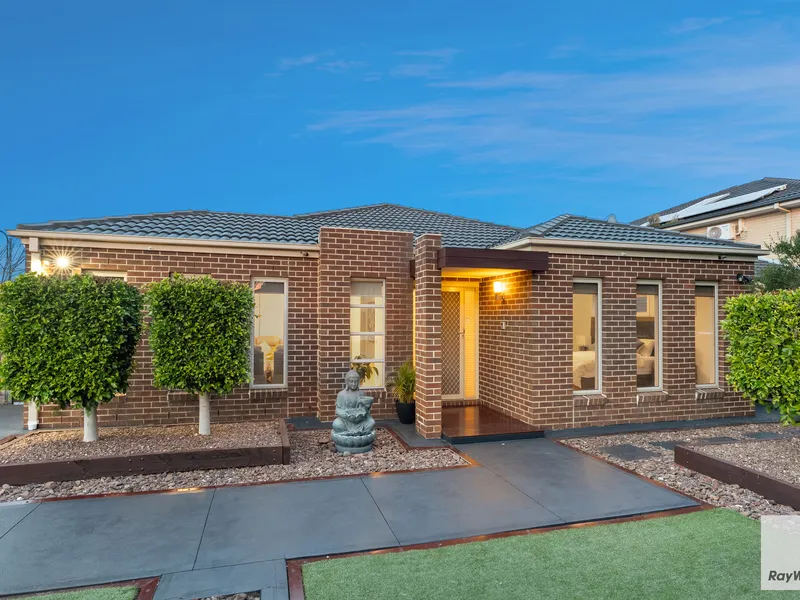 Family Comfort Redefined!