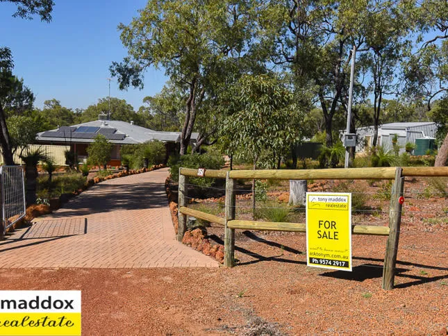 Spectacular, Spectacular!!!