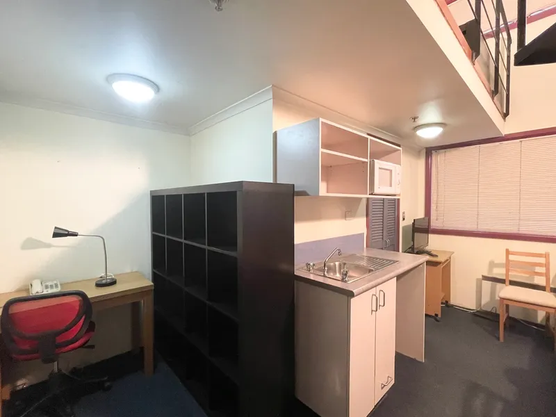 LARGE ONE BEDROOM LOFT STYLE STUDIO