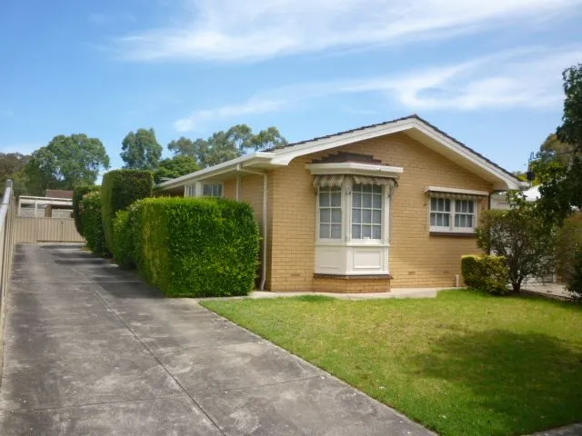 The best of both worlds!