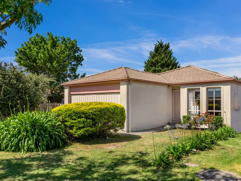 SET YOUR SIGHTS ON THIS OPPORTUNITY