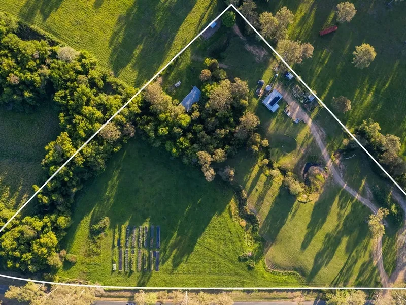 Just Like Living in Paradise – Under the Hammer!