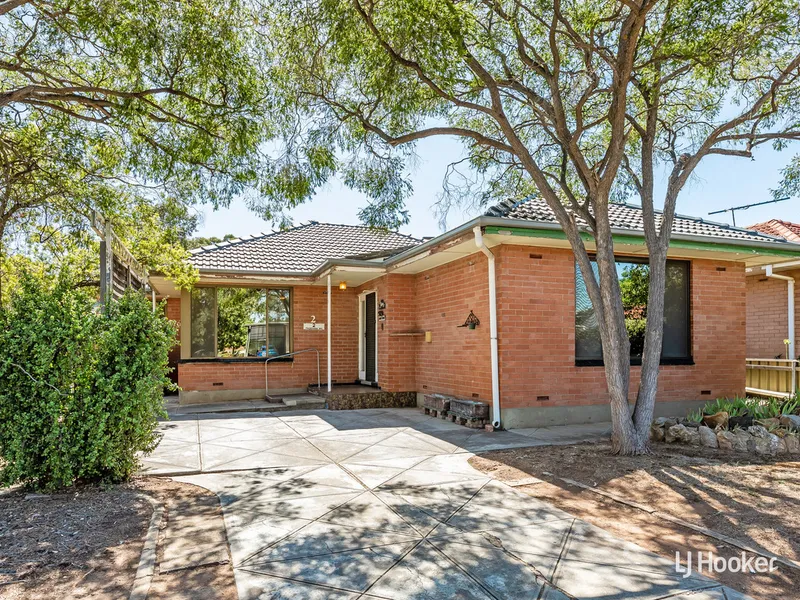 A Renovators Delight !