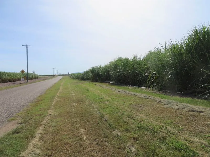 Airville Cane Farming Hotspot
