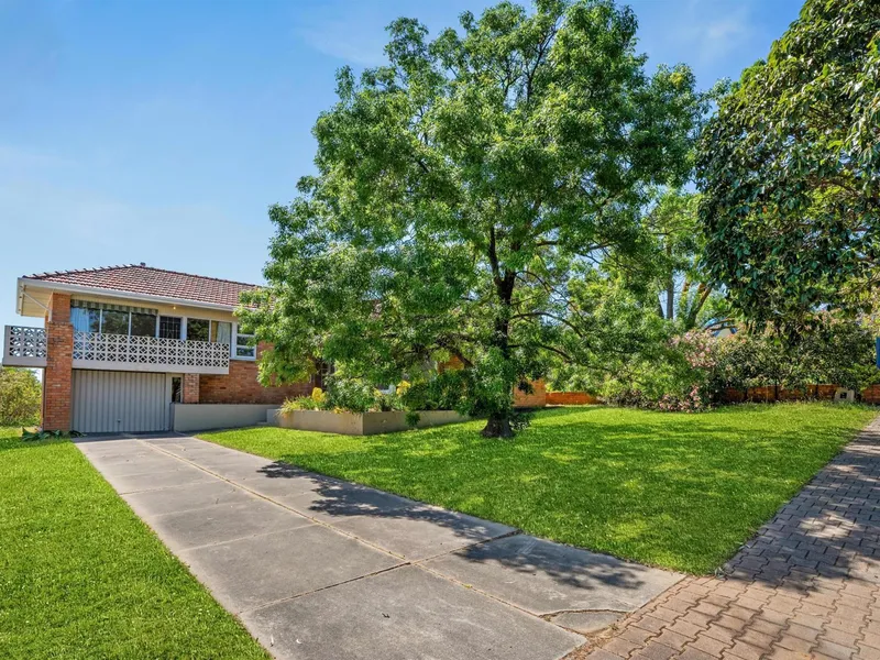 With a Big Backyard and Surprise Views!