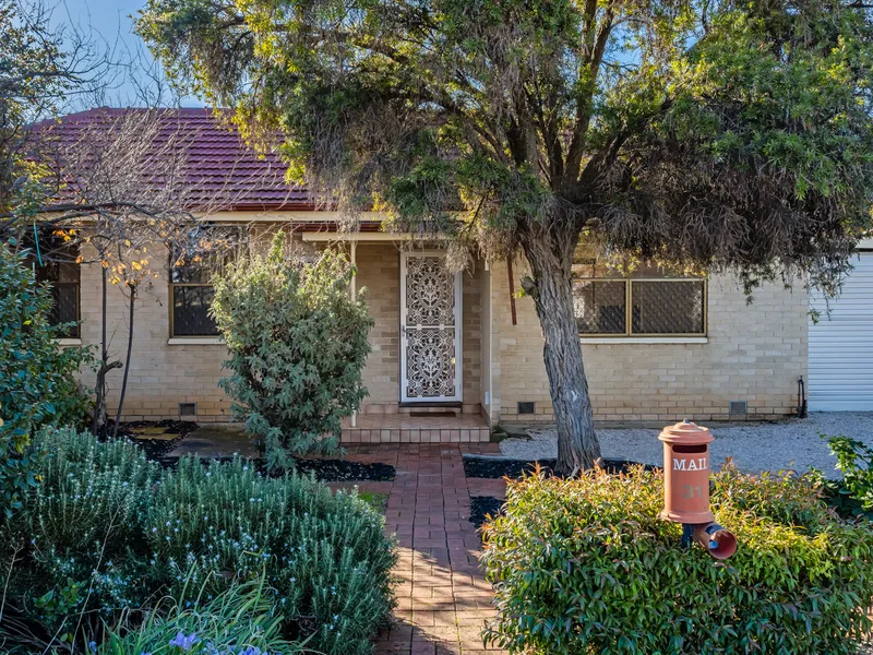 So Much Potential in South Plympton!