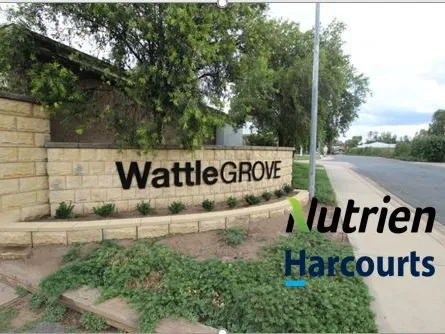 Welcome To Wattle Grove!