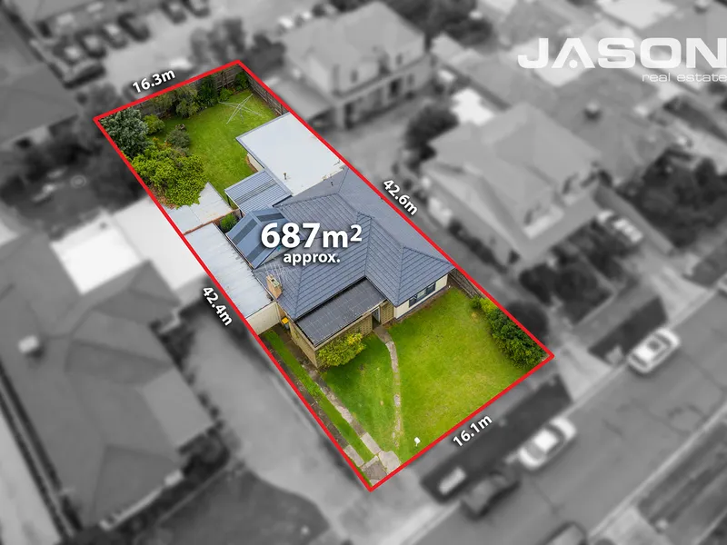 Stella Charmer, Stellar Opportunity!