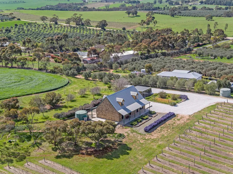 COUNTRY LIVING, COUNTRY STYLE - 40 ACRES