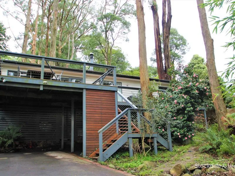 Mountain Living with Water and Electricity Included!