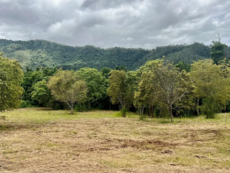 Superb Lifestyle Block