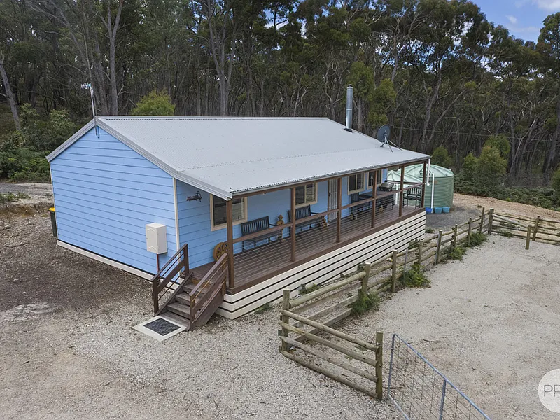 Modern & Private Setting With A Big Shed