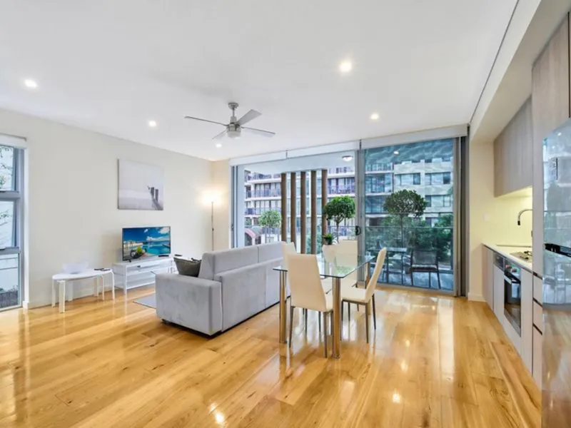 Fully Furnished Contemporary Apartment