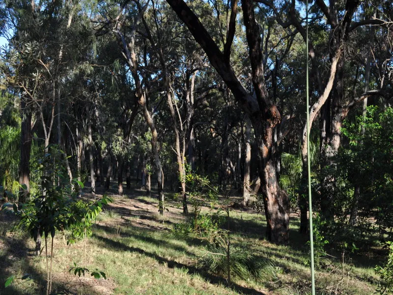 An Exceptional Opportunity