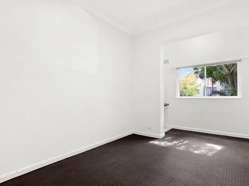 Oversized 2 Bedroom Apartment on Gorgeous Tree-Lined Tree