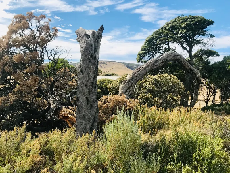 Large Corner Lifestyle Coastal Allotment