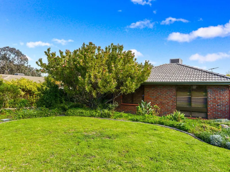 Starting Out Or Slowing Down