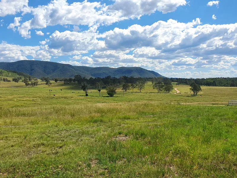 Magnificent 309 acres - 10 Minutes to Woodford!