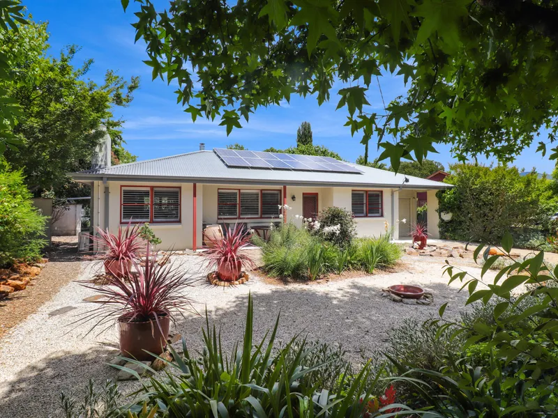 FANTASTIC STARTER or INVESTMENT