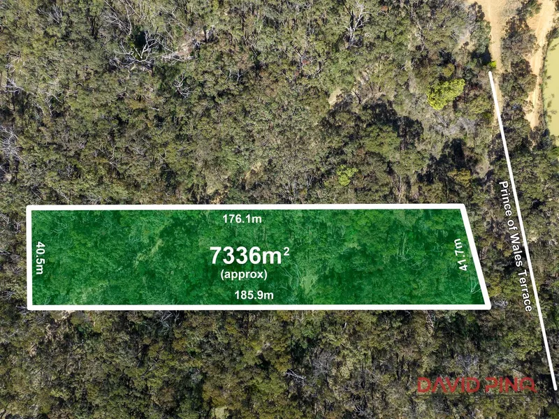 Your 2.5-acre Secluded Bush Haven in Riddells Creek